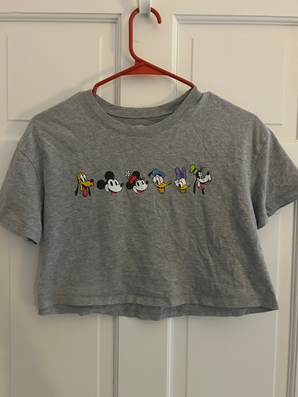 Disney Character Gray Cropped Kids Tee